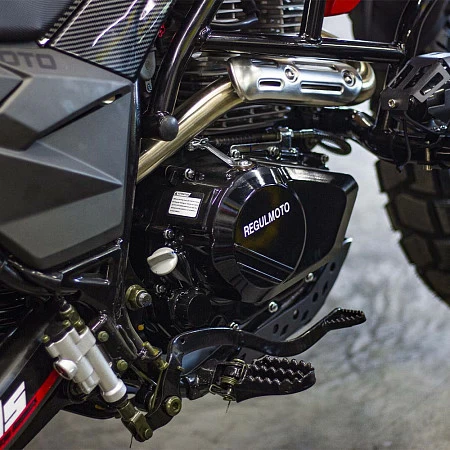 Мотоцикл Regulmoto DUKE PRO (Красный, 108874-1)