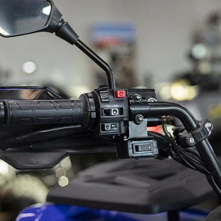 Квадрицикл Bizon YK250 LUX EFI (Синий)